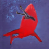 andres Munoz - tiburonrojo