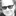 Tim Lauer