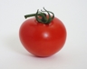 Tom Arto - tomato1166
