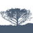 Erich Stauffer