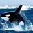 whale810930