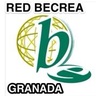 Red profesional Bibliotecas Escolares Granada BECREA