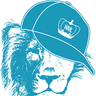 Web Marketing Lions