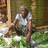 Food Safety in Tanzania