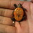 bennytheturtle