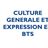 bts-cge