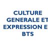 BTS CGE