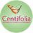 centifolia