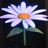 ceres_display