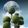 Higher Ed Resources