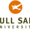 Full Sail WDDBS Usability & UX