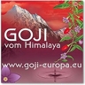 GOJI-NingXia