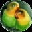 Green Parrots Software