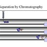 Hausmann_Chromatography