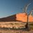 humanities-9_e-biome-desert