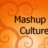 mashup-culture