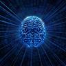 neuroscience_learning_memory