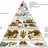 nutrition-effects
