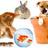 pet-products-online