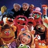 Puppets for all