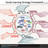 Social media for open distance learning and teaching