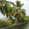 South India Travel Services