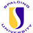 spalding-university-dnp-health-policy