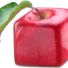 Technology and the Common Core Standards (DHH)