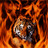 JasonL73