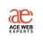 acewebexperts6