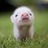 aidanl2