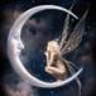 alfreem Alice