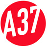 amack37