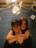 Lesley Goethals