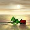 Amit Chand