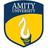 Amity university