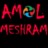 Amol Meshram