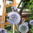 annaherbst