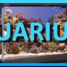 blueearth aquariums