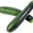 atomiczucchini