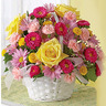 Bangalore Flowers Delivery