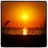 beachgirl_vb