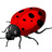 beetle_666