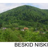Anna gond - beskidniski_agro