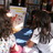 bibliotecaacep