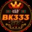bk333blog1
