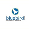 bluebirdsolar