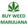buyweedmarijuana