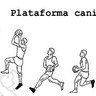 Plataforma Canibal