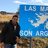 carlosbanegas